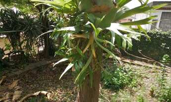 Imagem 6: CASA COM 3 DORMITÓRIOS À VENDA, 148 M² POR R$ 850.000 - JAGUARÉ - SÃO PAULO/SP