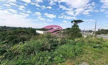 Imagem: Grande terreno em Colombo na Rodovia da