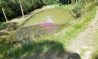 Imagem 2: CHACARA RESIDENCIAL em SÃO JOSÉ DOS PINHAIS - PR, MALHADA