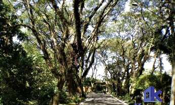 Imagem 4: Condomínio Vila Vianna - Lote 1 : 509,17m²