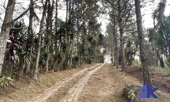 Imagem 5: Km 36 Raposo Tavares - Área para Incorporação ou Chácara 18.455m²