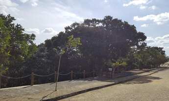 Imagem 2: TERRENO RURAL em BANANEIRAS - PB, CENTRO