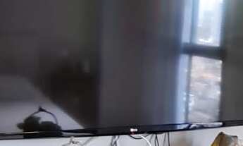 Imagem 2: APARTAMENTO RESIDENCIAL em SALVADOR - BA, JARDIM APIPEMA