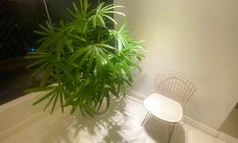 Imagem 4: APARTAMENTO RESIDENCIAL em SALVADOR - BA, HORTO FLORESTAL