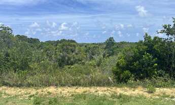 Imagem 3: Lote em Praia do Forte com 800M²