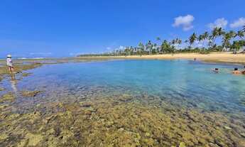 Imagem 6: Terreno Plano em Mata de São João com 540M²
