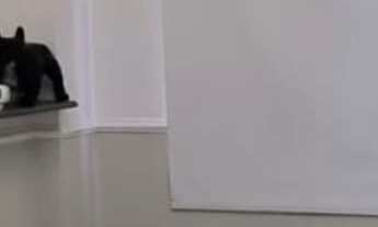 Imagem 2: Cobertura no Caminho das Árvores com 3