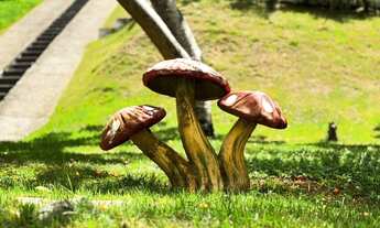 Imagem 2: Casa em Lauro de Freitas com 6