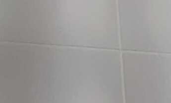 Imagem 3: Apartamento no Canela com 4