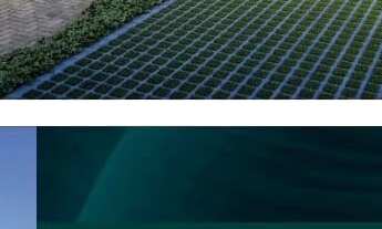 Imagem 3: Apartamento no Caminho das Árvores com 4