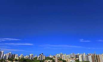 Imagem 4: Apartamento no Caminho das Árvores com 4