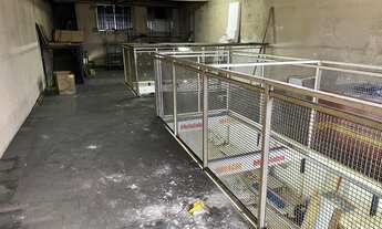 Imagem 5: Oportunidade Única: Prédio Comercial à Venda em São Paulo-SP, Jardim Planalto - 420m² de Á