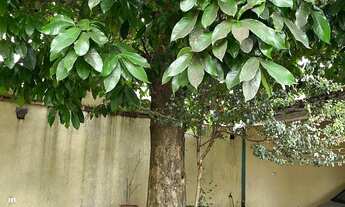 Imagem 3: Impecável casa à venda em São Paulo-SP, Jardim Santa Adélia: 3 quartos, 1 suíte, 1 sala, 2