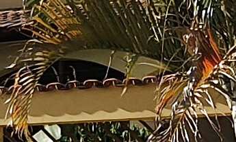 Imagem: CASA RESIDENCIAL em ESMERALDAS - MG, Fernão