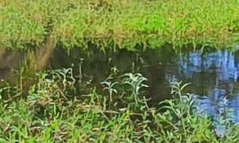 Imagem 2: TERRENO RURAL em ESMERALDAS - MG, Caio Martins