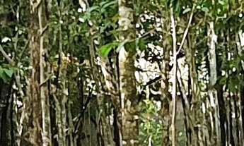 Imagem 4: TERRENO RESIDENCIAL em ESMERALDAS - MG, CONDOMINIO MARINHEIROS