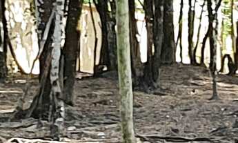 Imagem 7: TERRENO RESIDENCIAL em ESMERALDAS - MG, CONDOMINIO MARINHEIROS