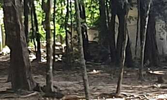 Imagem 6: TERRENO RESIDENCIAL em ESMERALDAS - MG, CONDOMINIO MARINHEIROS