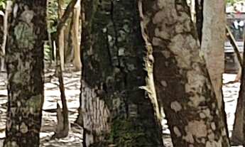 Imagem 3: TERRENO RESIDENCIAL em ESMERALDAS - MG, CONDOMINIO MARINHEIROS