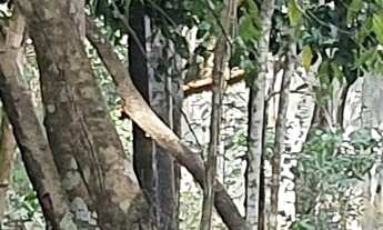 Imagem 5: TERRENO RESIDENCIAL em ESMERALDAS - MG, CONDOMINIO MARINHEIROS