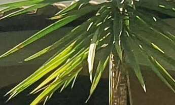 Imagem 3: SITIO RESIDENCIAL em ESMERALDAS - MG, CIDADE JARDIM