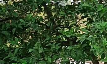 Imagem 3: TERRENO RURAL em ESMERALDAS - MG, ESTANCIAS CAMPO ALEGRE