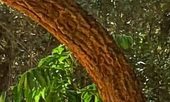 Imagem 3: AREA RURAL em ESMERALDAS - MG, RURAL