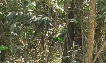 Imagem 2: AREA RURAL em ESMERALDAS - MG, RURAL