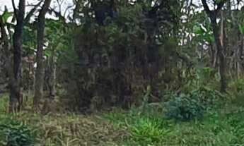 Imagem 5: TERRENO RURAL em ESMERALDAS - MG, ESTANCIAS CAMPO ALEGRE