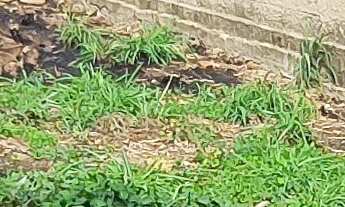 Imagem 5: CASA COMERCIAL em ESMERALDAS - MG, CENTRO