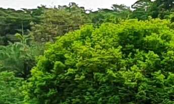 Imagem 4: SITIO RURAL em ESMERALDAS - MG, PADRE JOÃO