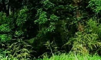 Imagem 5: SITIO RURAL em ESMERALDAS - MG, PADRE JOÃO