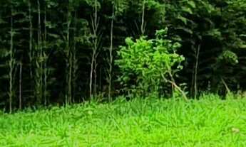 Imagem 6: SITIO RURAL em ESMERALDAS - MG, PADRE JOÃO