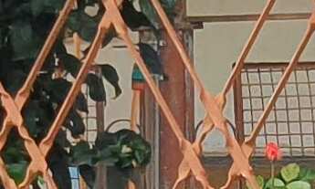 Imagem 4: CASA COMERCIAL em ESMERALDAS - MG, CENTRO