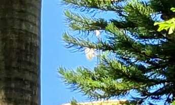 Imagem 2: SITIO RESIDENCIAL em ESMERALDAS - MG, RECANTO DA SERRA