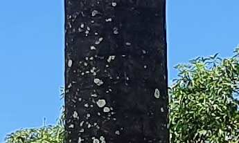 Imagem 6: SITIO RESIDENCIAL em ESMERALDAS - MG, RECANTO DA SERRA