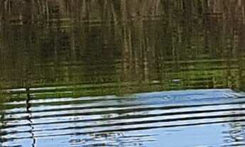 Imagem 5: SITIO RURAL em ESMERALDAS - MG, ESMERALDAS