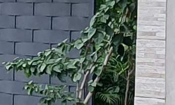 Imagem 6: SITIO RESIDENCIAL em ESMERALDAS - MG, CIDADE JARDIM