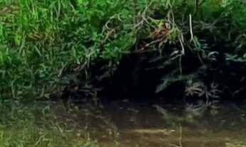 Imagem: SITIO RURAL em JUATUBA - MG, ÁREA RURAL