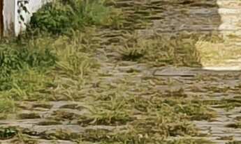 Imagem 4: CASA RESIDENCIAL em ESMERALDAS - MG, CARACÓIS DE BAIXO