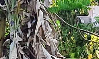 Imagem 5: TERRENO RESIDENCIAL em ESMERALDAS - MG, DUMAVILLE