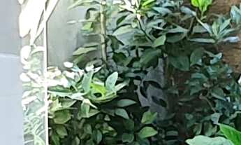 Imagem 2: CASA RESIDENCIAL em ESMERALDAS - MG, CARACÓIS DE BAIXO