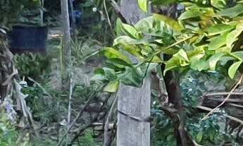 Imagem 3: TERRENO RESIDENCIAL em ESMERALDAS - MG, DUMAVILLE