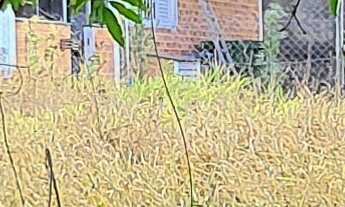 Imagem 3: TERRENO RESIDENCIAL em ESMERALDAS - MG, FERNÃO DIAS