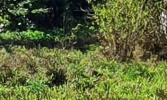 Imagem 3: TERRENO RESIDENCIAL em ESMERALDAS - MG, TROPEIROS