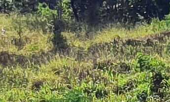 Imagem 7: TERRENO RESIDENCIAL em ESMERALDAS - MG, TROPEIROS