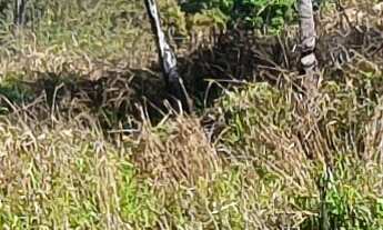 Imagem: TERRENO RESIDENCIAL em ESMERALDAS - MG