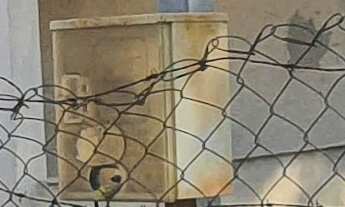 Imagem 3: BARRACAO RESIDENCIAL em ESMERALDAS - MG, RESIDENCIAL CAIO MARTINS