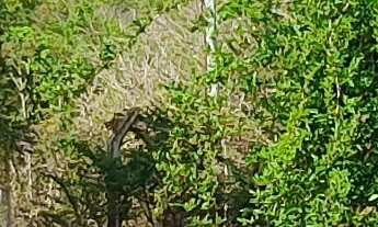 Imagem 4: CASA RESIDENCIAL em ESMERALDAS - MG, JARDIM BANDEIRANTES