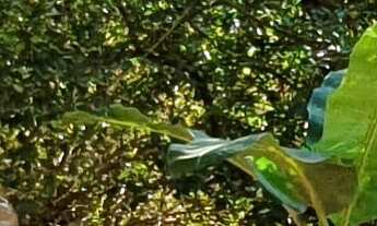 Imagem 7: CASA RESIDENCIAL em ESMERALDAS - MG, JARDIM BANDEIRANTES